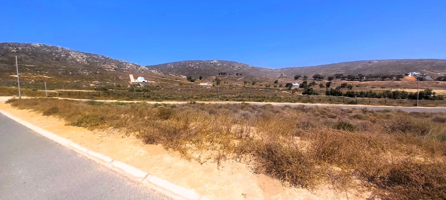 0 Bedroom Property for Sale in Steenbergs Cove Western Cape